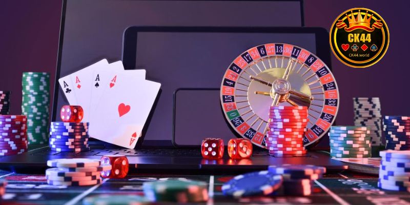 The about us section overview is clearly presented by CK44