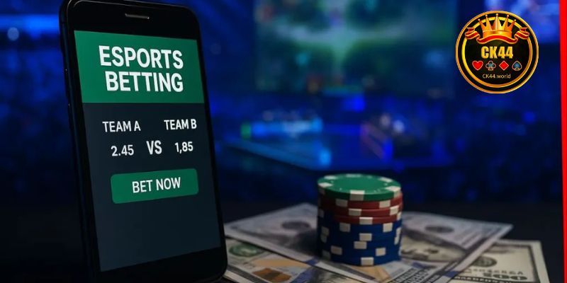 Instructions for reading and applying Esports Betting Odds