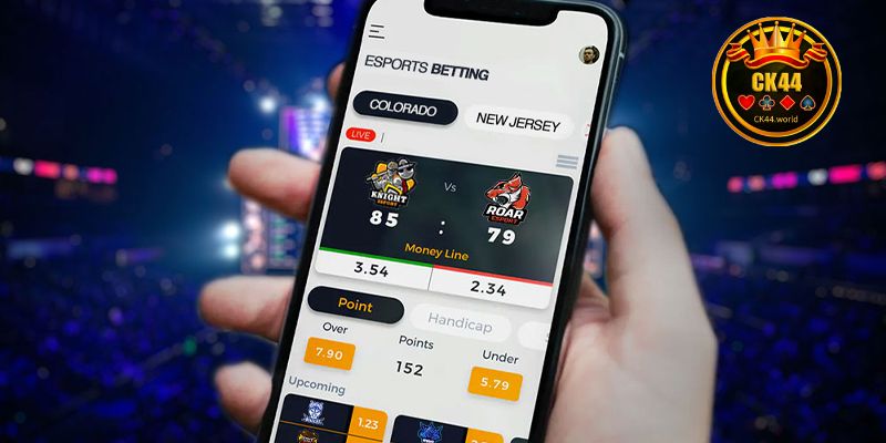 Some highlights about esports betting odds
