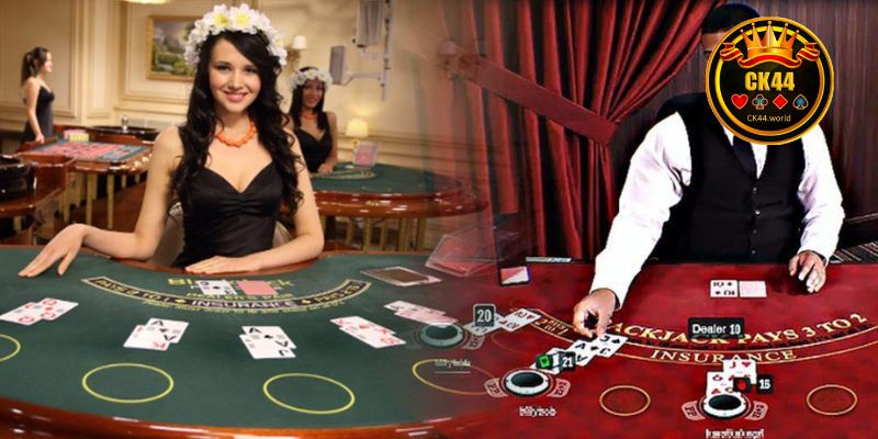 Popular games in live casino at CK44 today
