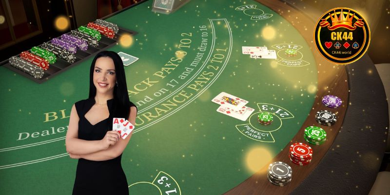 Live casino playing experience for beginners at CK44