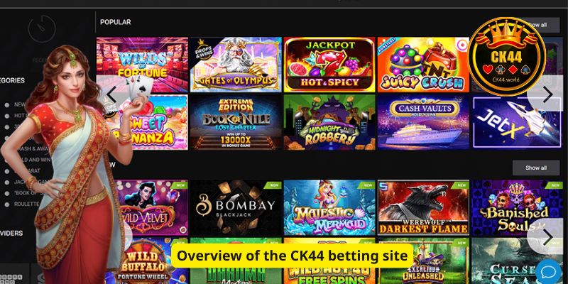Overview of the CK44 betting site