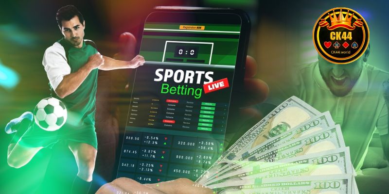 Security, Reputation, and Foundation of CK44 Sports Betting