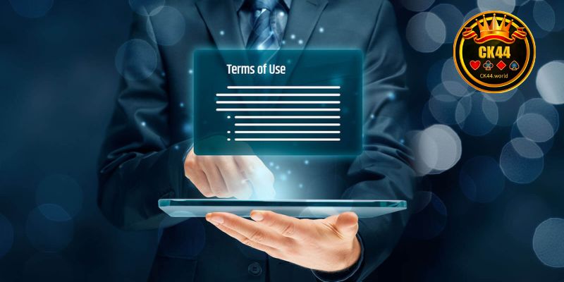 Basis for the formation of terms and conditions at CK44