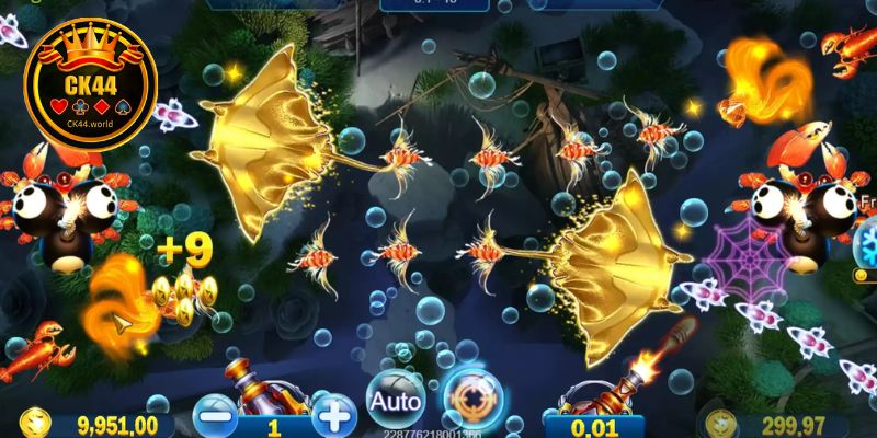 Royal Fishing Arena Structure And Continuous Play Loop