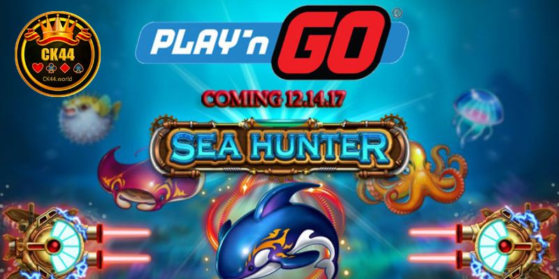 Interface Feedback And Result Transparency