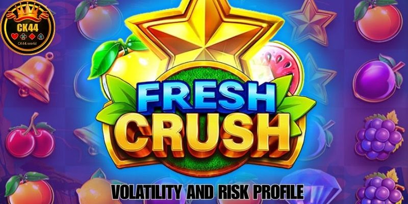 Volatility And Risk Profile