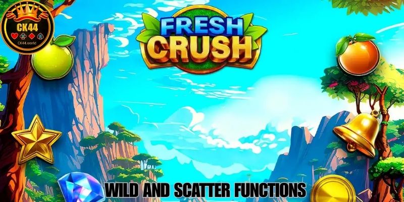 Wild And Scatter Functions