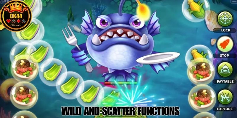 Wild And Scatter Functions