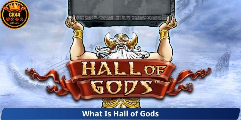What Is Hall of Gods